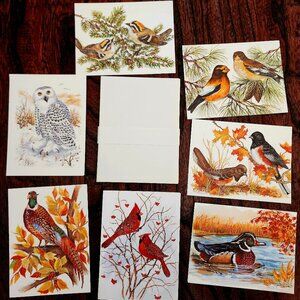Vintage John Cornacchio Wildlife Birds Feathered Friends Blank Note Cards x 7